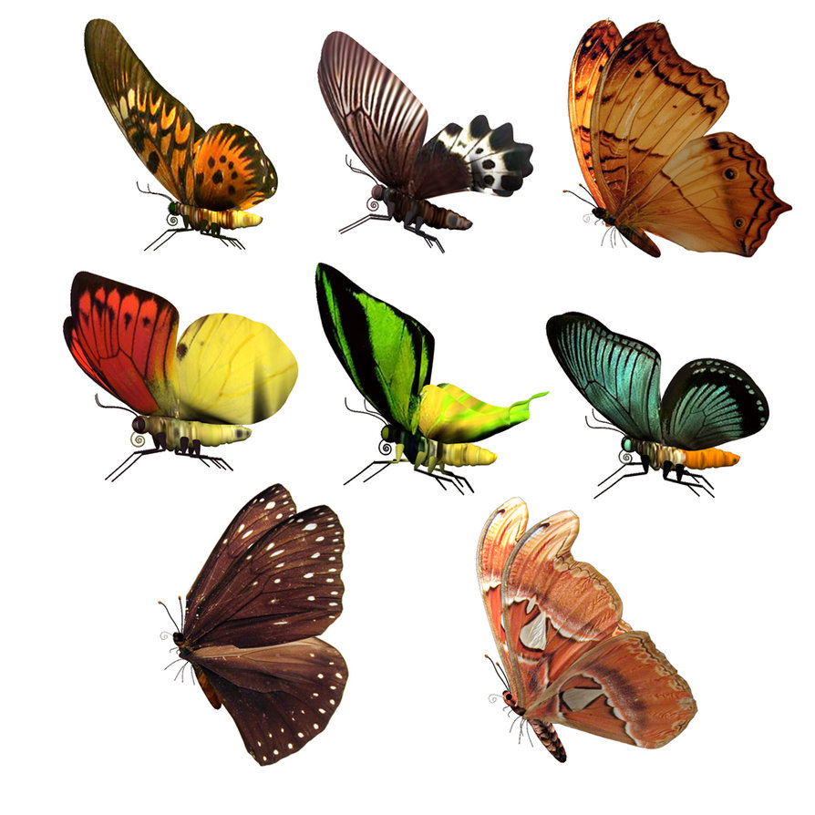 butterfly clipart photoshop - photo #4